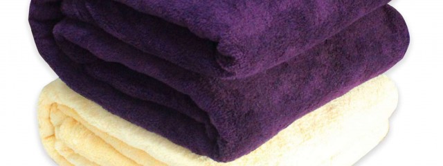 Coral Fleece Blanket In Solid Color